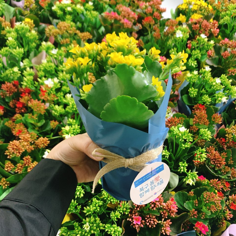 이미지 새창으로 크게보기