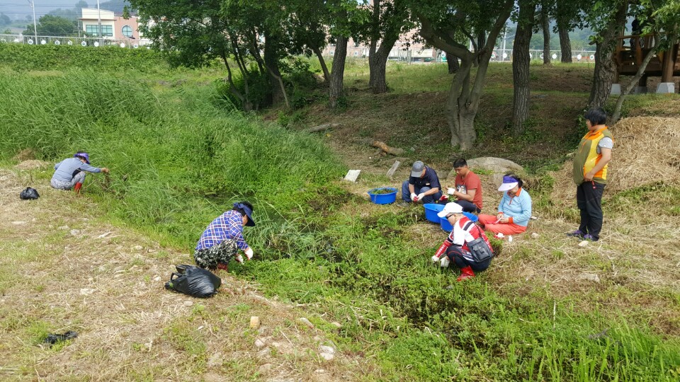 이미지 새창으로 크게보기